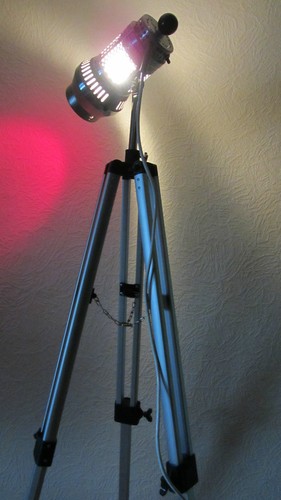 Veb grandiosa graziöse tripod - veb,